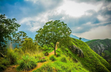 Mini Adams Peak