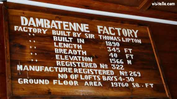 Dambatenne Tea Factory