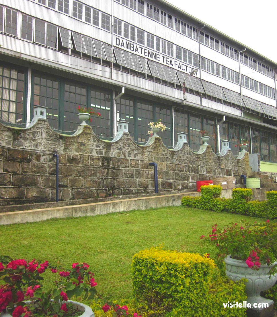 Dambethenne Tea Factory