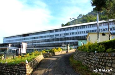 Dambethenne Tea Factory