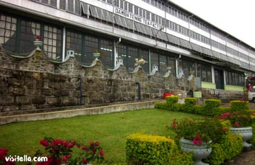 Dambethenne Tea Factory