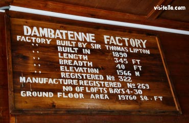 Dambethenne Tea Factory