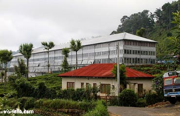 Dambethenne Tea Factory