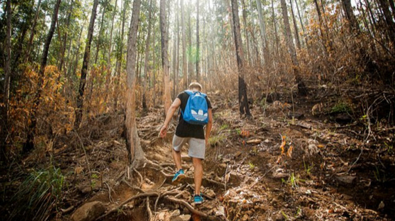 Hike Ella Rock