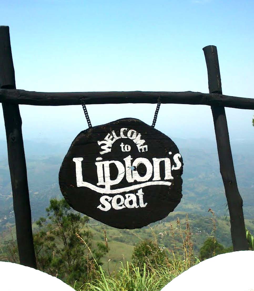 Lipton’s Seat