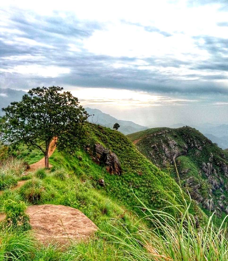 Mini Adams Peak