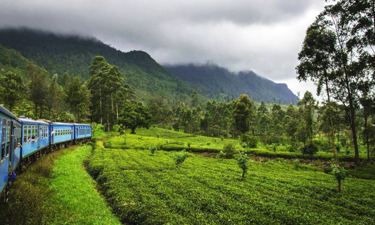 Train Travels