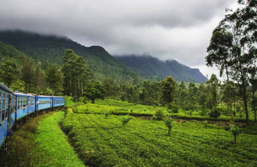 Train Travels