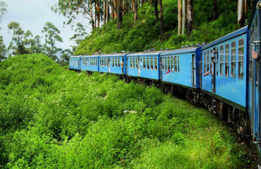 Train Travels