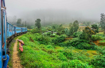 Train Travels